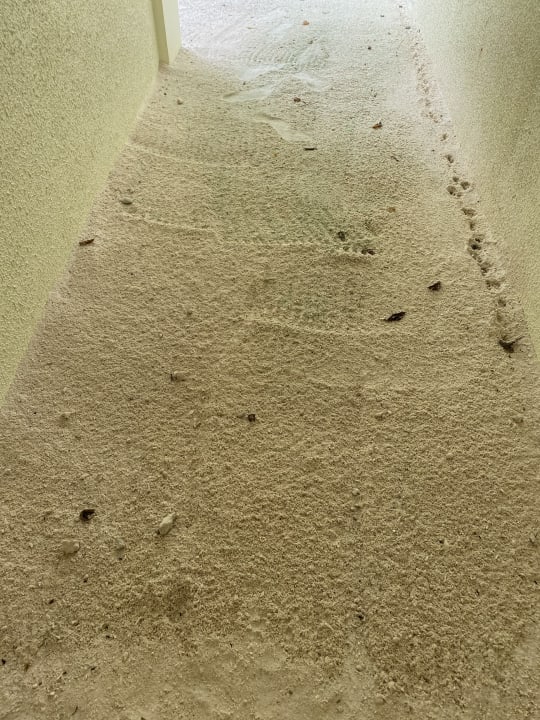 Zimmer TUI BLUE Olhuveli Romance