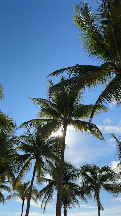 Strand Hotel Riu Lupita