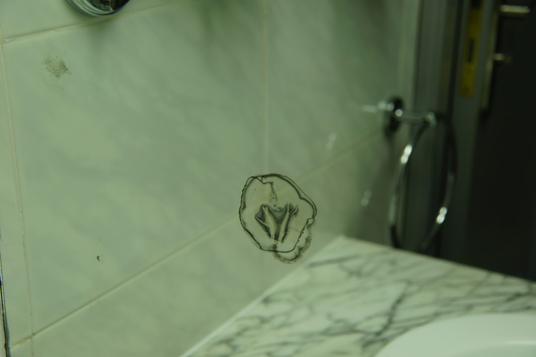 Zimmer Hotel Riu Nautilus - Adults only