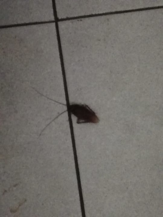 Zimmer Servatur Playa Bonita