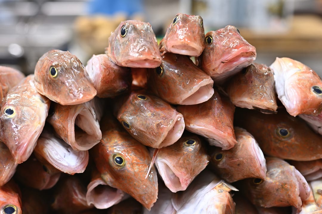 Gastro Hotel Monte Paraccia