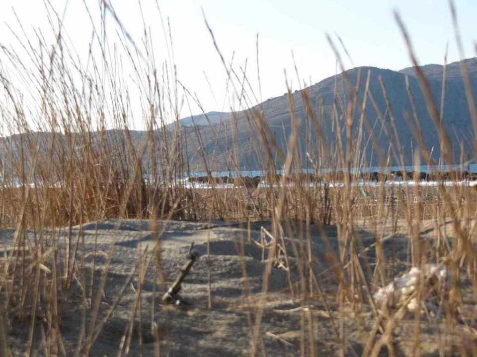 The Beach Hotel Corissia Princess