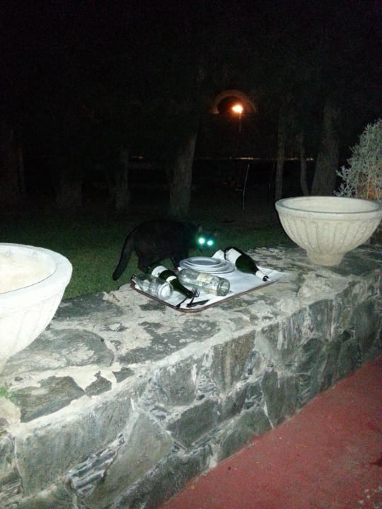 Teller vor dem Zimmer Bull Costa Canaria & Spa - Adults only