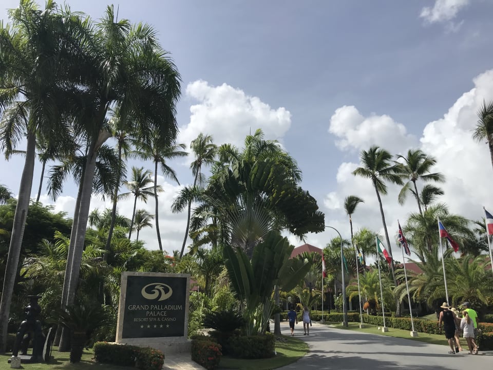 Gartenanlage Hotel Grand Palladium Palace Resort, Spa & Casino