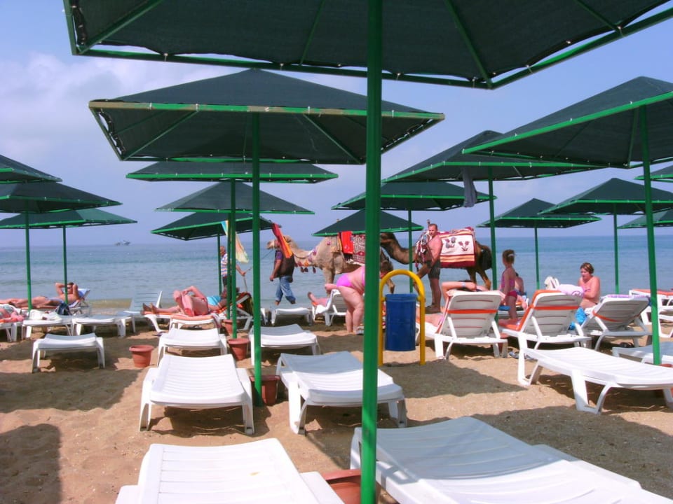 Strand My Home Resort