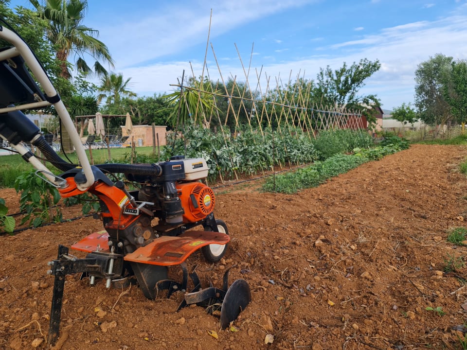 Gartenanlage Agroturismo Can Pere Rei