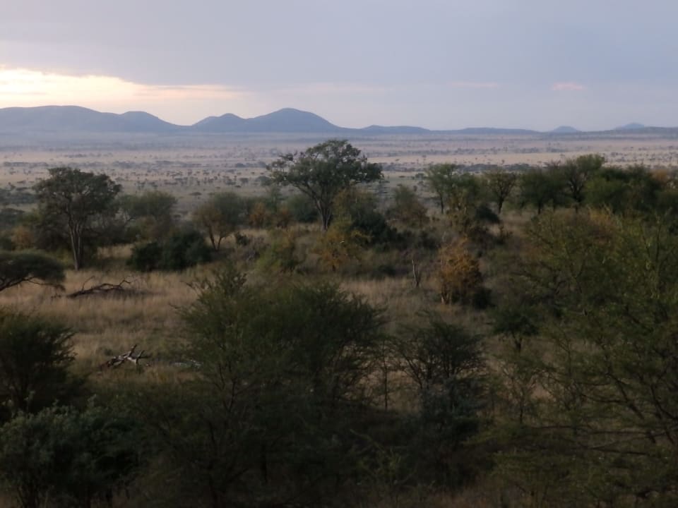 Ausblick Hotel Serengeti Sopa Lodge