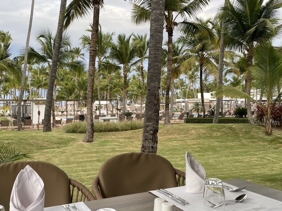 Ausblick Hotel Riu Palace Macao - Adults only