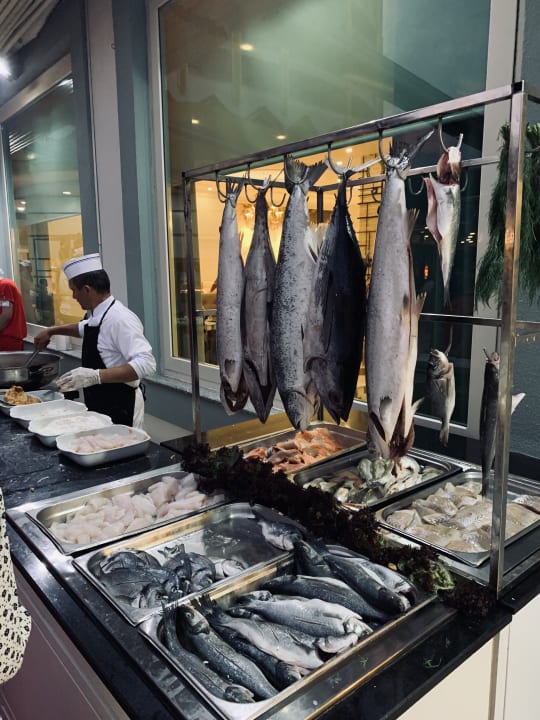 Gastro Hotel Delphin Imperial