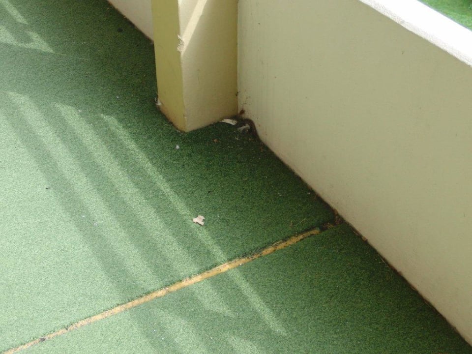 Laubengang zum Appartment nur ein Teil zu sehen Ferienwohnungen Ferienpark Weissenhäuser Strand