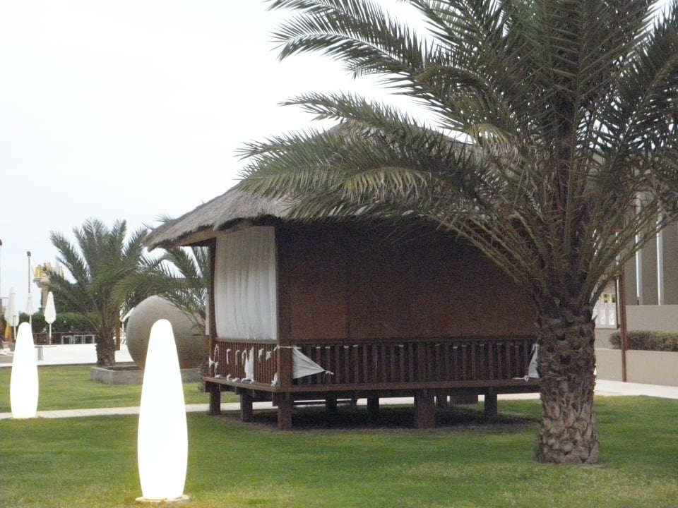 Gartenanlage Oasis Salinas Sea