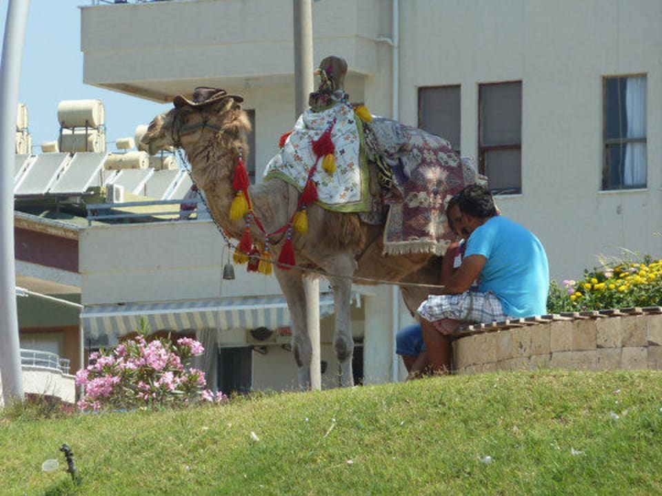 Mit Hut Grand Kaptan