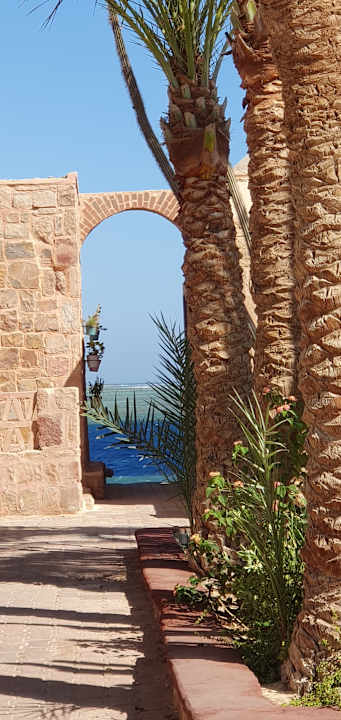 Ausblick Mövenpick Resort El Quseir