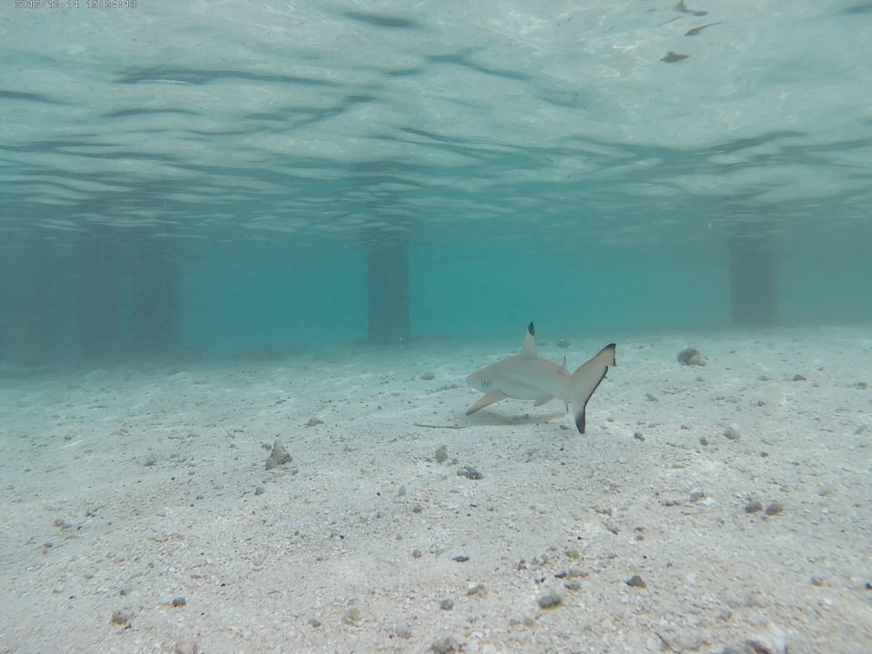 Embudu Embudu Village