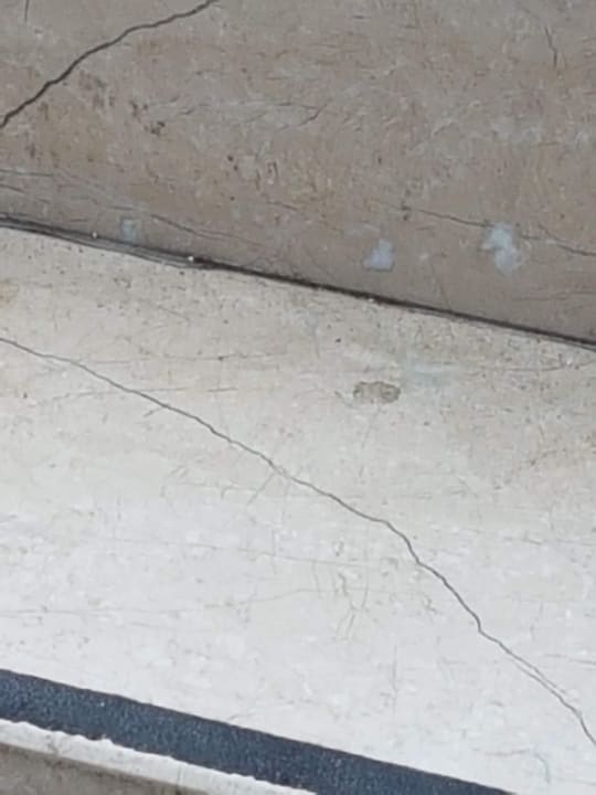 Außenansicht Kleopatra Fatih Hotel