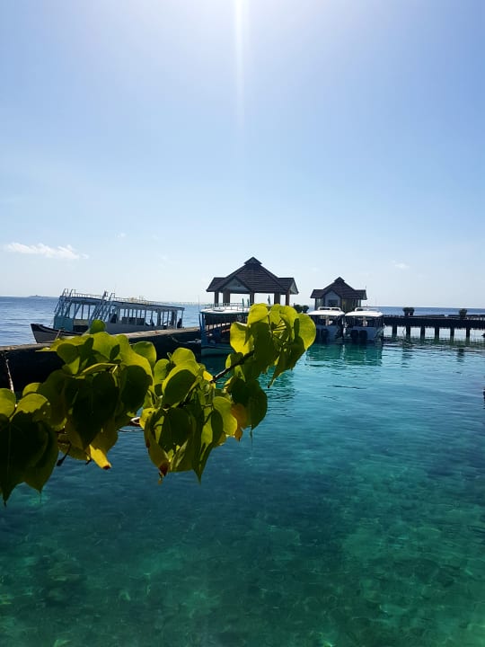 Ausblick Ellaidhoo Maldives by Cinnamon