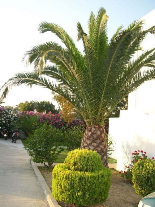 Hotel Esperia Hotel Esperia