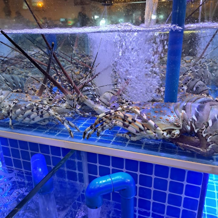 Gastro Andaman Embrace Patong