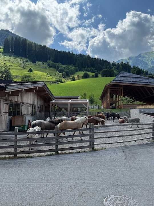Außenansicht Hotel DerAlpenhof