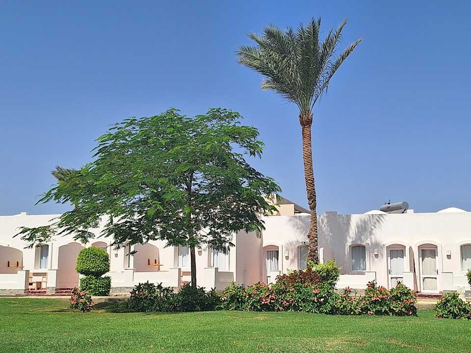 Gartenanlage JAZ Neo Reef Marsa