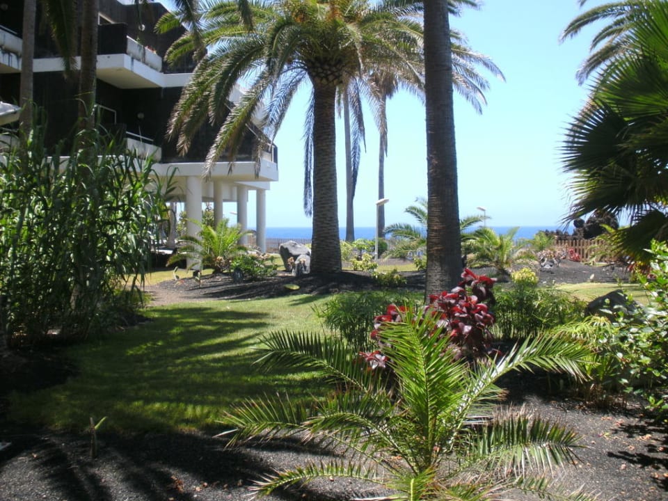 Gartenanlage Melia La Palma Hotel