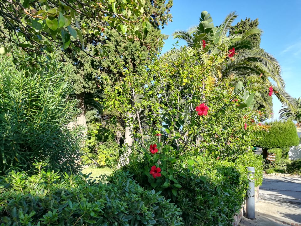 Garten Aldiana Club Rocca Nettuno Calabria