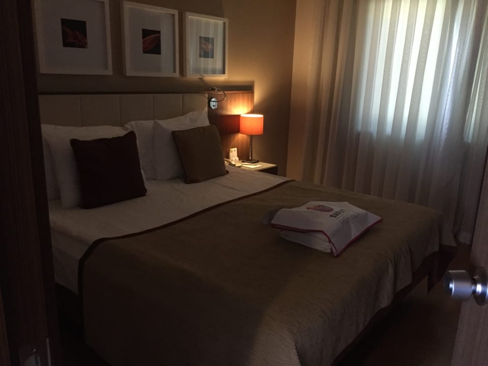 Zimmer Arum Barut Collection
