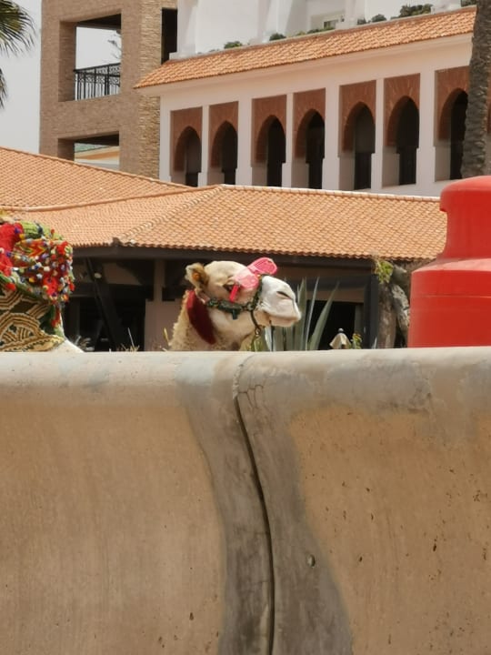 Strand Hotel Riu Palace Tikida Agadir