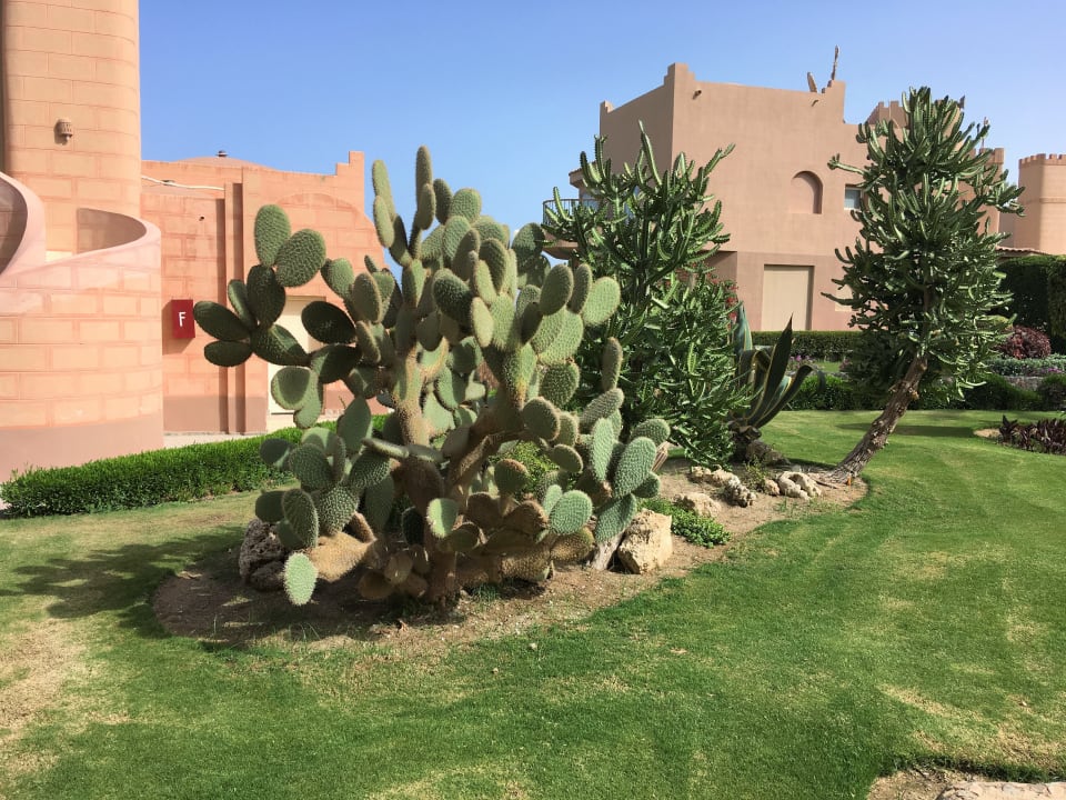 Gartenanlage Sentido Akassia Beach