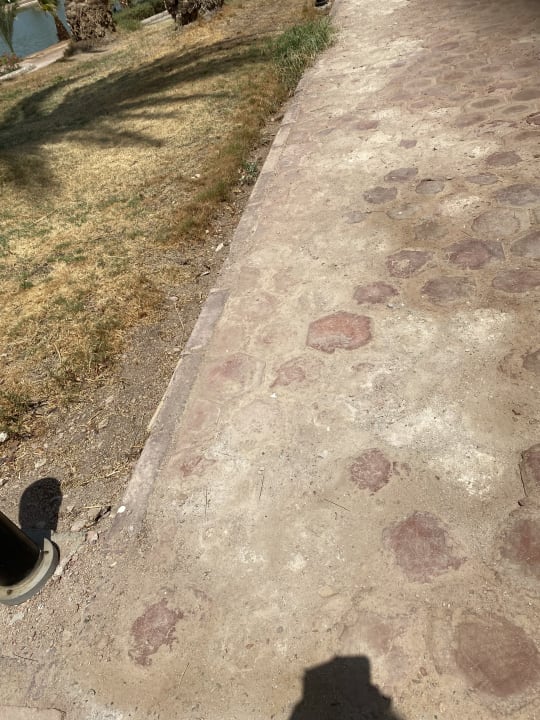 Gartenanlage Pharaoh Azur Resort