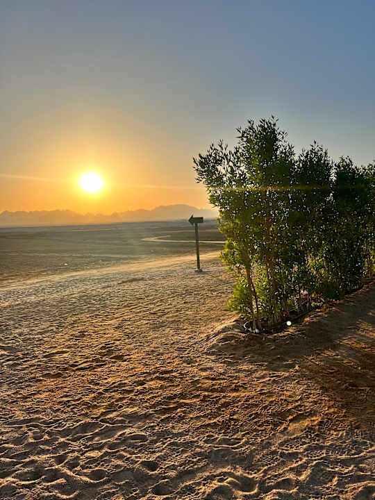 Strand Steigenberger Resort Ras Soma