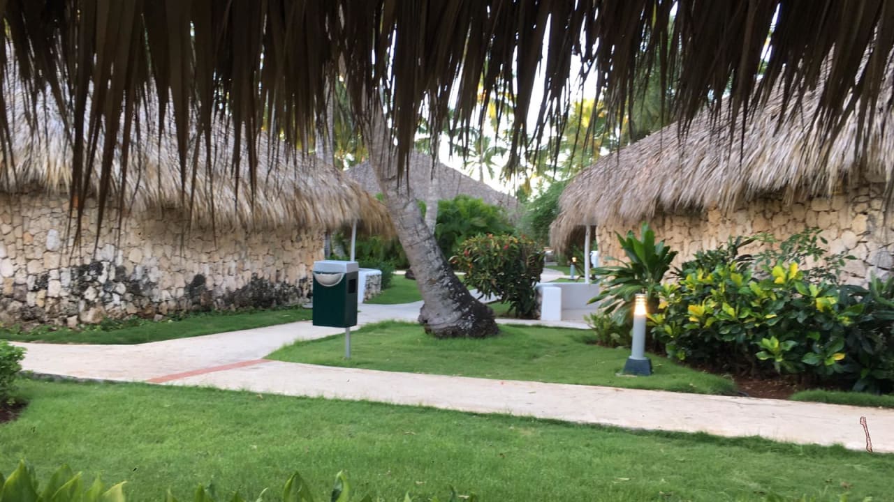 Garten Hotel Viva Dominicus Beach by Wyndham - All Inclusive Resort