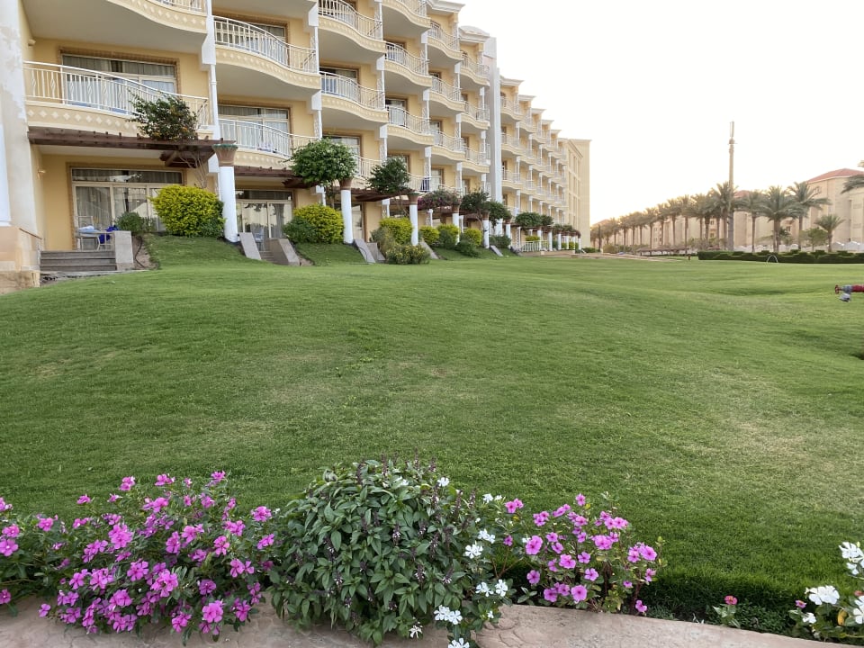 Gartenanlage Palm Royale Resort - Soma Bay