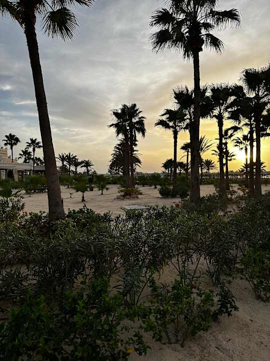 Gartenanlage Hotel Riu Karamboa