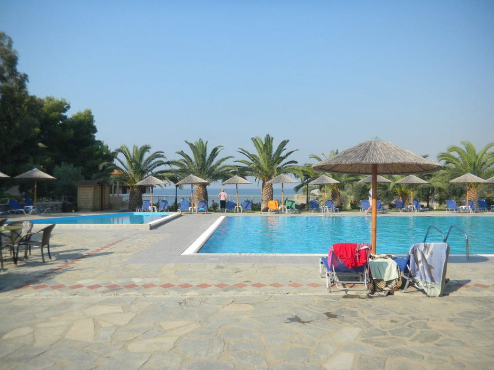 Pool Blue Dolphin Resort Hotel