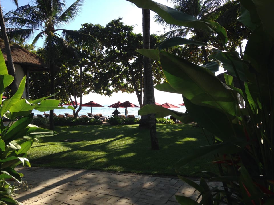 Poolblick zum Strand The Laguna A Luxury Collection Resort & Spa