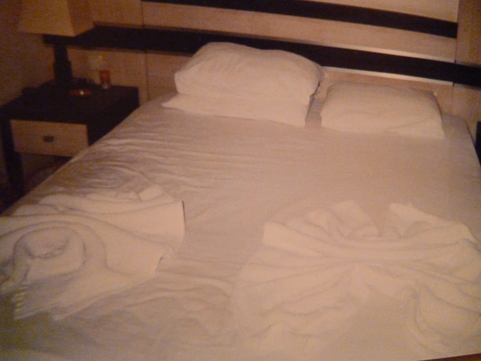 Doppelzimmer Hotel Orfeus Park