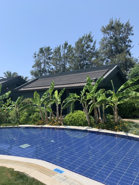 Pool Limak Lara Deluxe Hotel & Resort