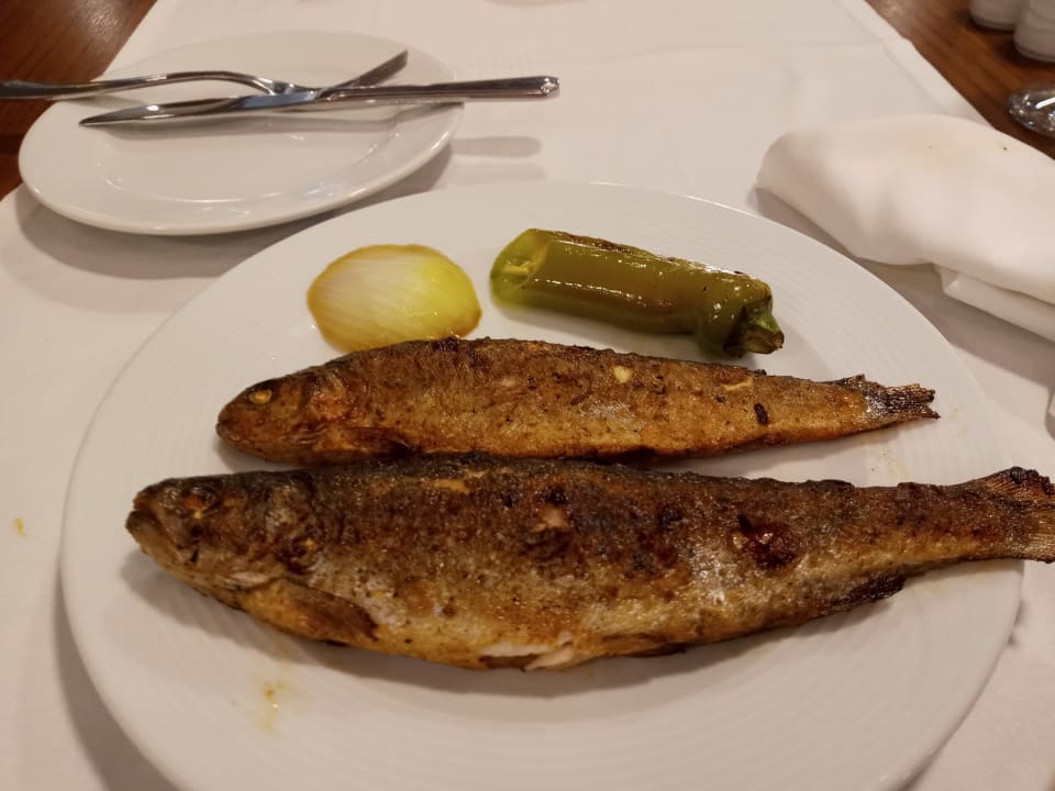 Gastro Wyndham Garden Lara