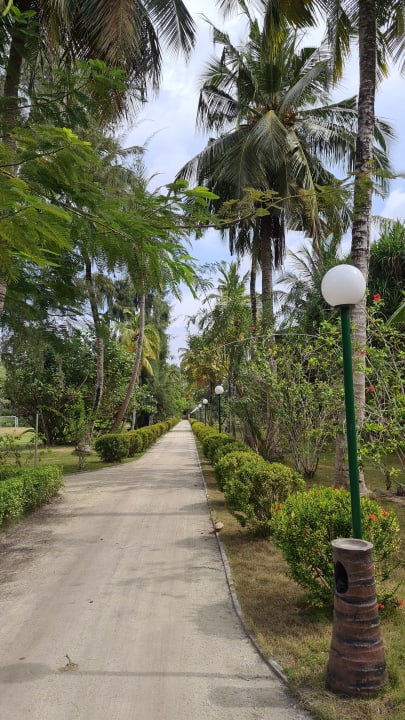 Gartenanlage Adaaran Select Hudhuran Fushi - Premium All Inclusive