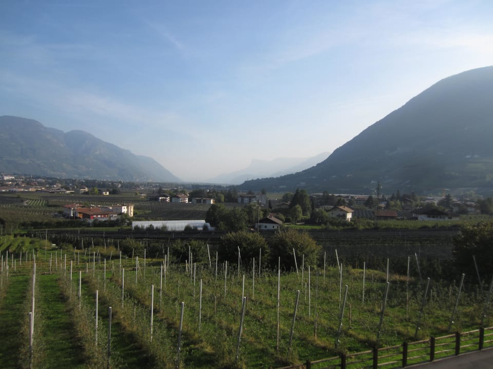 Schönblick - Aussicht aus dem Fenster Hotel Residence Ruster Resort