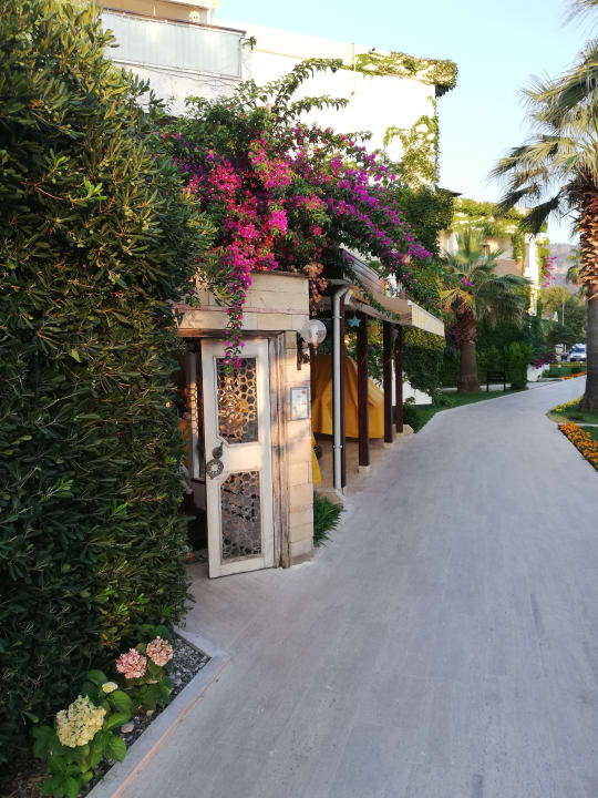 Sonstiges Club Boran Mare Beach