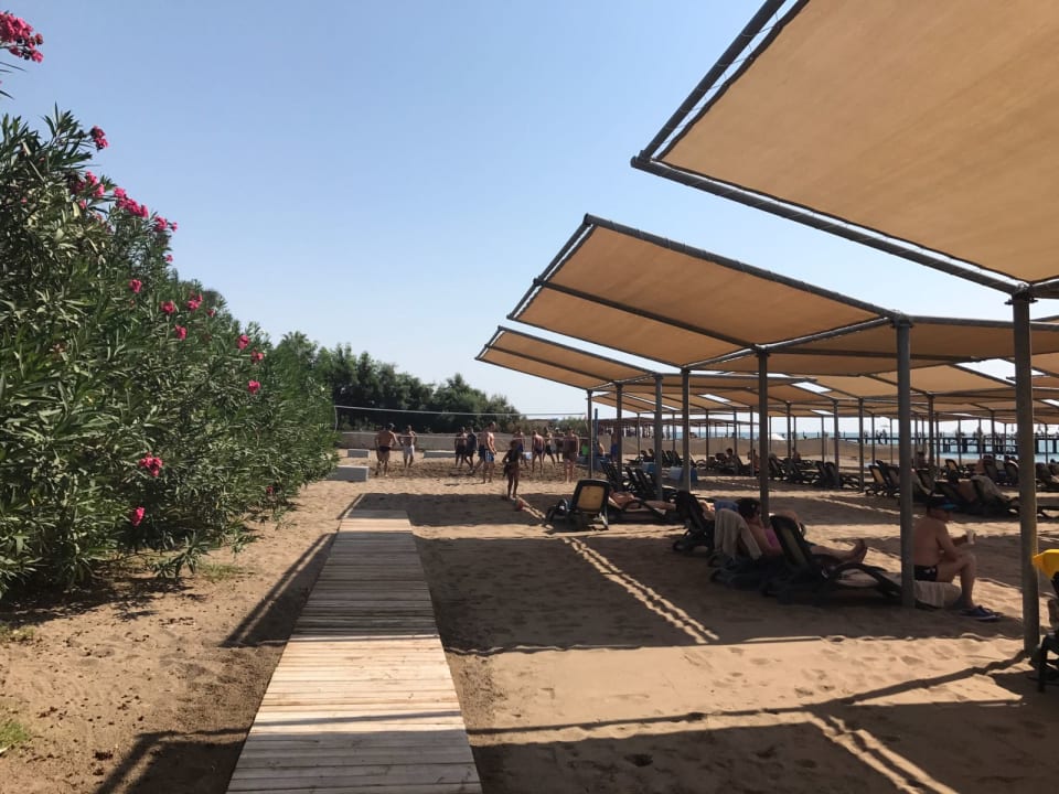 Strand Royal Wings Hotel