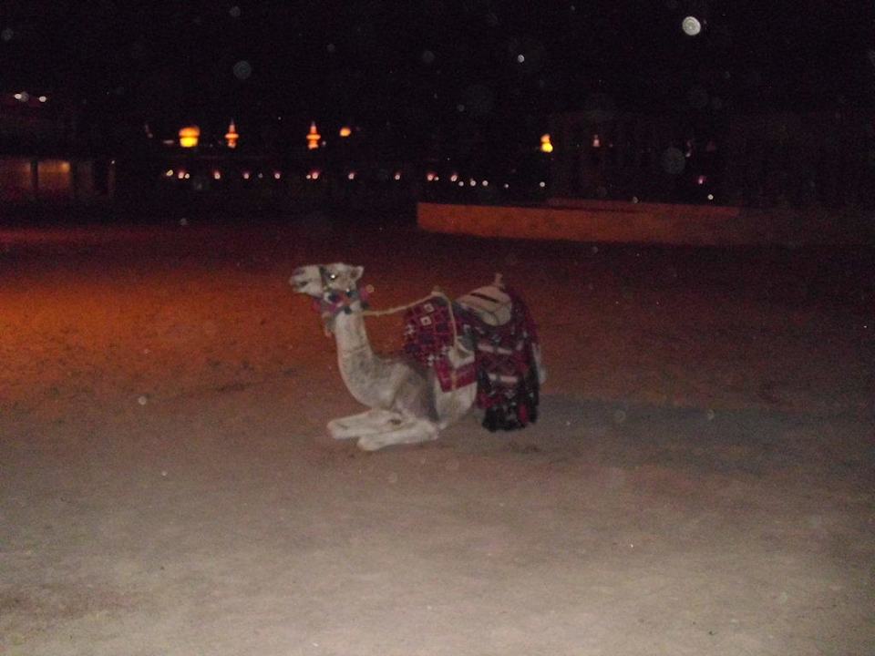 Hotel Fantasia 1001 Nacht - Alf Leila wa Leila Pickalbatros Alf Leila Wa Leila Resort - Neverland Hurghada