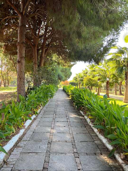 Gartenanlage Hotel Süral Garden