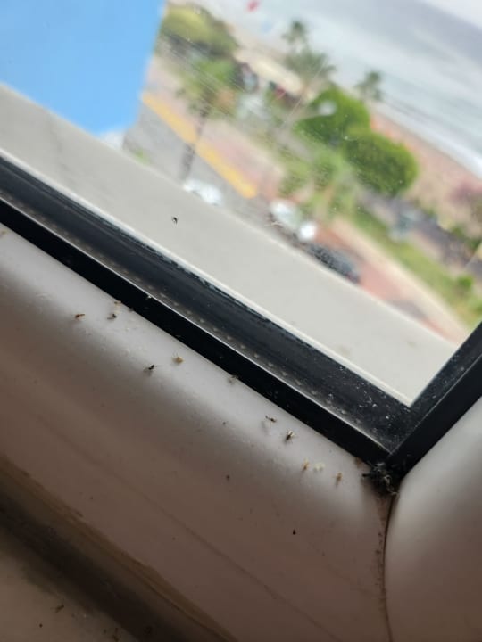 Zimmer Hawaii Suite Beach Hotel