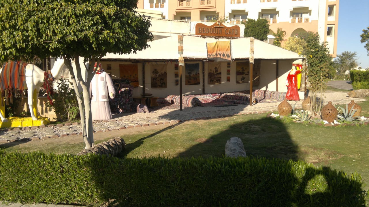 Beduinencafe - Shishacorner Serenity Alpha Beach