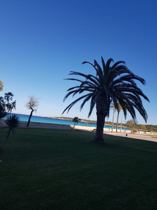 Strand allsun Hotel Borneo - Adults only