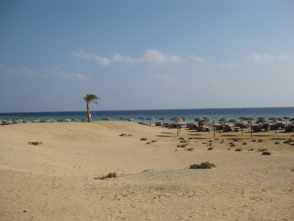 Strand bei der Tauchbasis Hotel Gorgonia Beach Resort