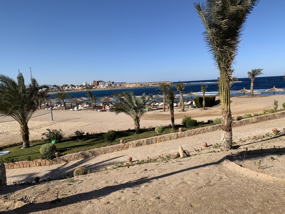 Strand Coral Sun Beach